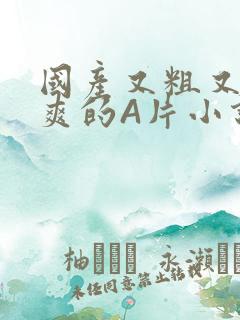 国产又粗又黄又爽的A片小说