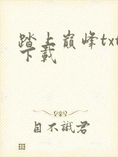 踏上巅峰txt下载