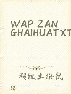 WAP ZANGHAIHUATXT