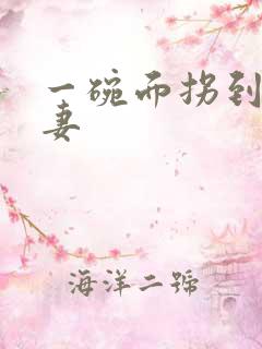 一碗面拐到美艳妻