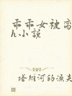 乖乖女被脔日常h小说