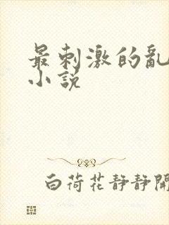 最刺激的乱子伦小说