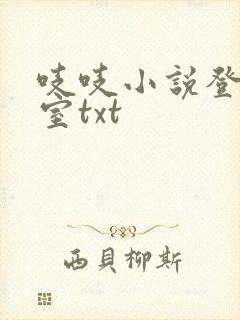 吱吱小说登堂入室txt