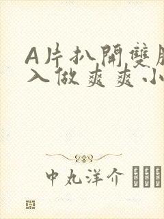 A片扒开双腿进入做爽爽小说