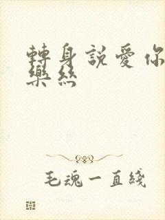 转身说爱你 白乐丝