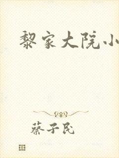 黎家大院小说