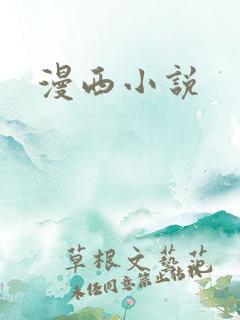 漫西小说