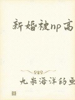 新婚被np高h