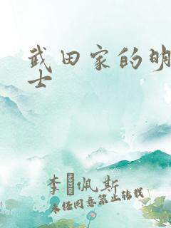 武田家的明国武士