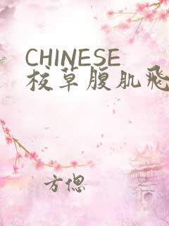 CHINESE校草腹肌飞机视频