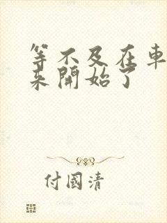 等不及在车里就来开始了