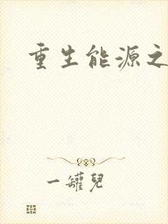 重生能源之王