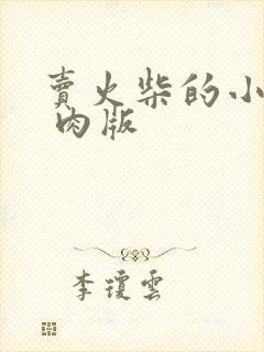 卖火柴的小男孩 肉版