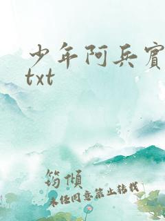 少年阿兵宾小说txt
