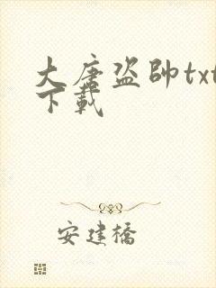 大唐盗帅txt下载