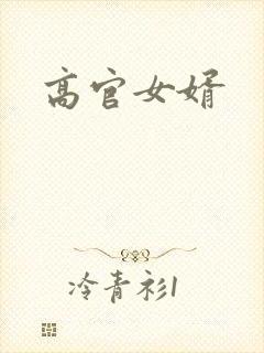 高官女婿