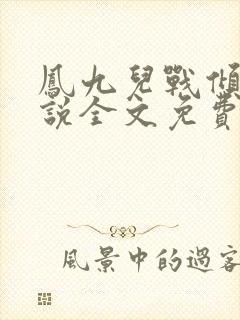 凤九儿战倾城小说全文免费阅读无弹窗