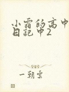 小霜的高中成长日记中2
