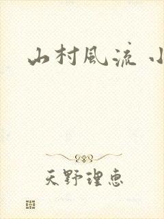 山村风流 小说