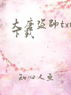 大唐盗帅txt下载