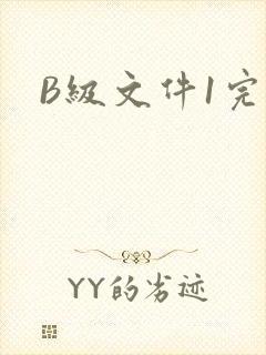 B级文件1完整
