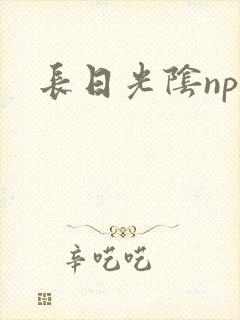 长日光阴np