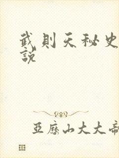 武则天秘史 小说