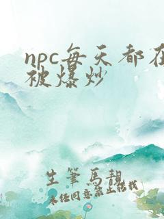 npc每天都在被爆炒
