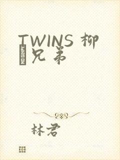 TWINS 柳澤兄弟