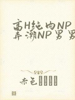 高H纯肉NP 弄潮NP男男