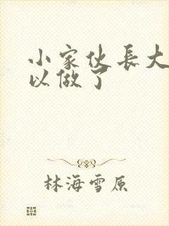 小家伙长大了可以做了