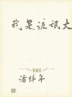 我是流氓大律师