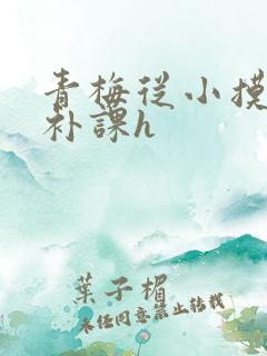 青梅从小摸到大补课h