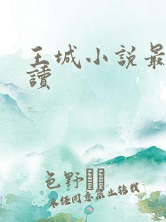 王城小说最近阅读