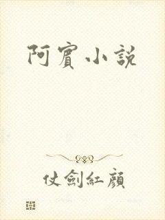 阿宾小说