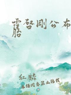 霍启刚公布龙凤胎