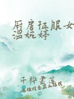 厨房征服女市长温婉婷