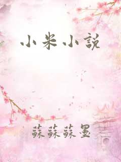 小米小说