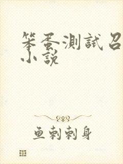笨蛋测试召唤兽小说