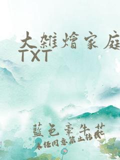大杂烩家庭小说TXT