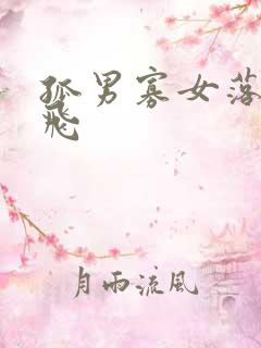 孤男寡女落瑛纷飞