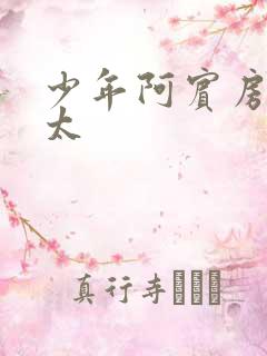 少年阿宾房东太太
