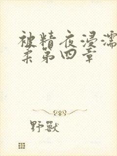 被精夜浸濡的小柔第四章