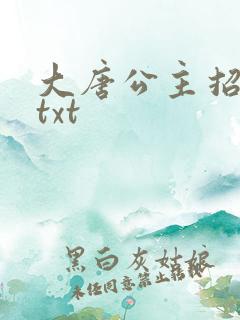 大唐公主招亲记txt