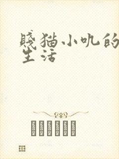 贱猫小叽的幸福生活