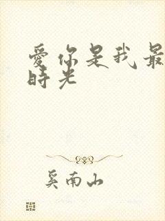 爱你是我最好的时光