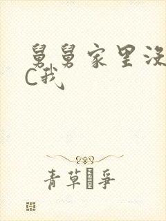 舅舅家里没人快C我