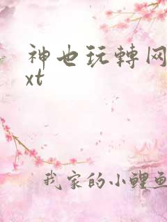 神也玩转网游txt