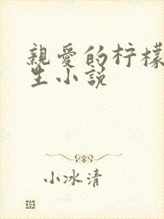 亲爱的柠檬精先生小说