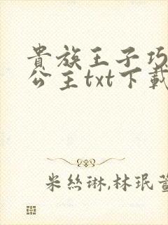 贵族王子巧遇穷公主txt下载